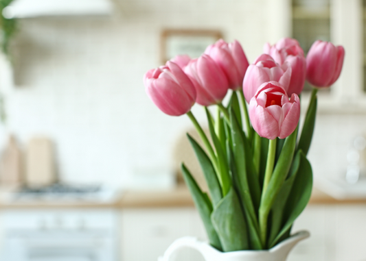 Fresh Cut Flower Care