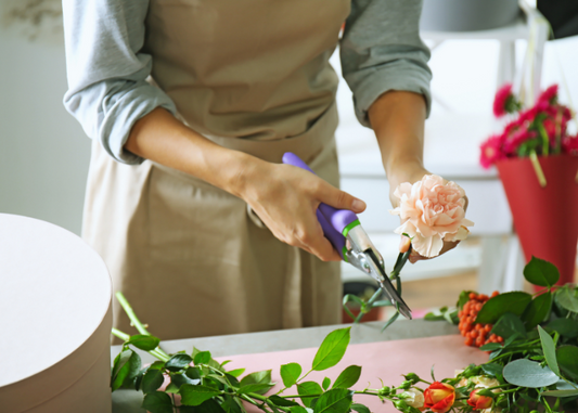 Flower Care Tips: Expert Advice From A Melbourne Florist
