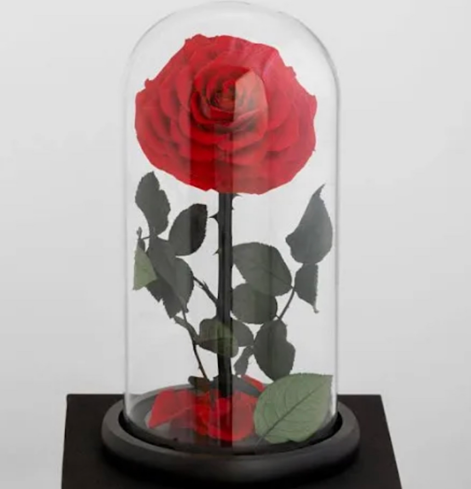 Everlasting Preserved Rose Dome (Red) - Blossom  By Daisy