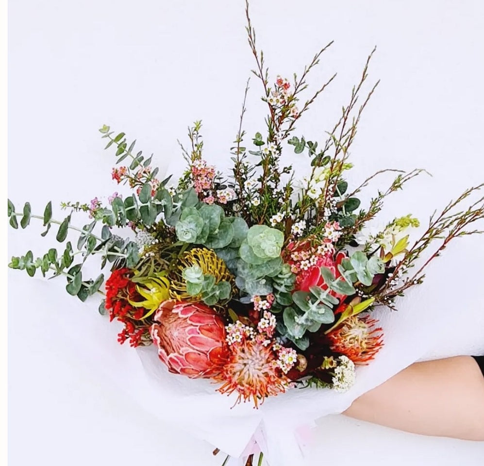Native Blossom - Blossom  By Daisy