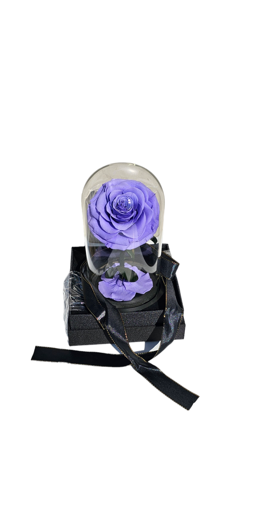 Everlasting Preserved Rose Dome (Lilac) - Blossom By Daisy