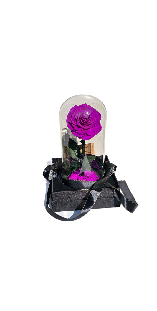 Everlasting Purple Preserved Rose Dome