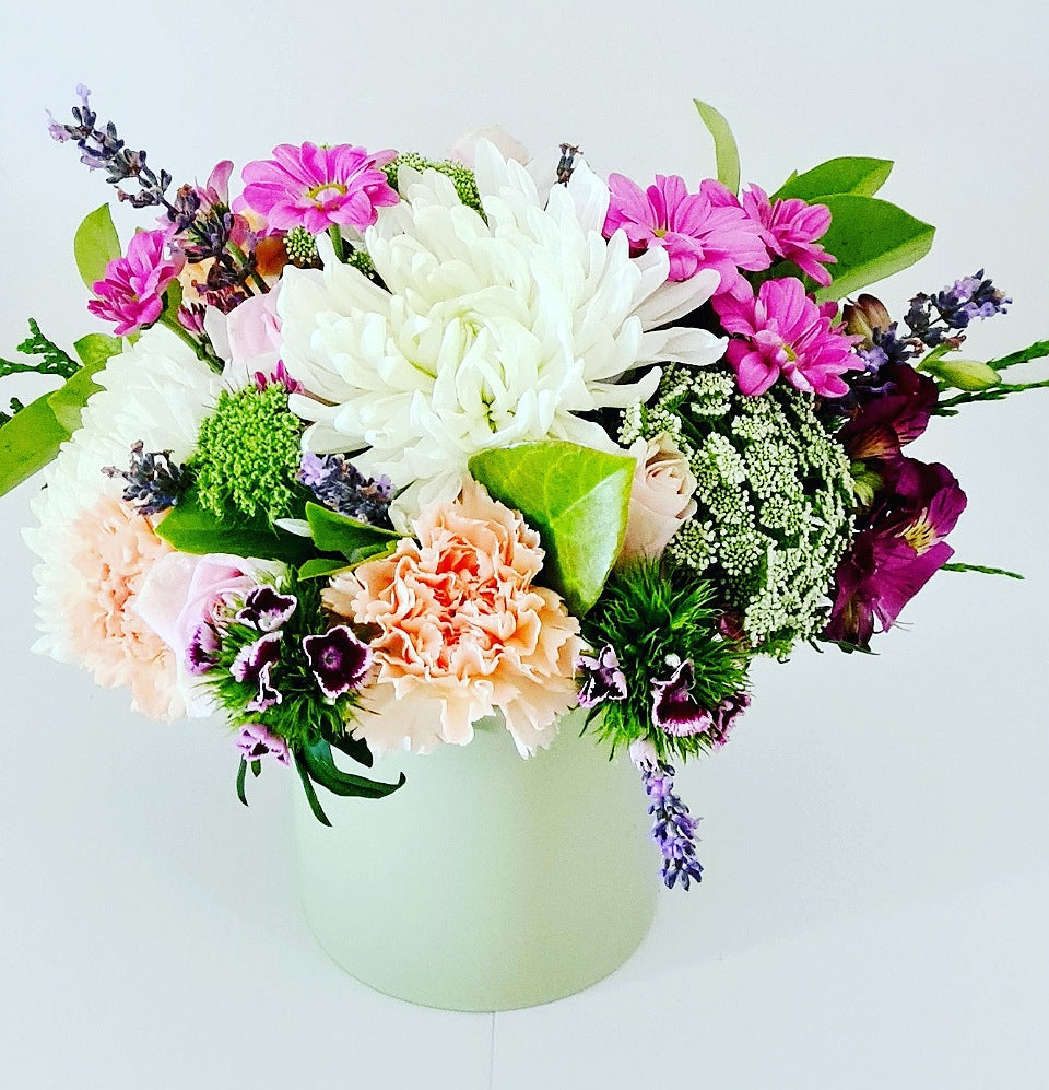 Blossom of the day - Blossom By Daisy