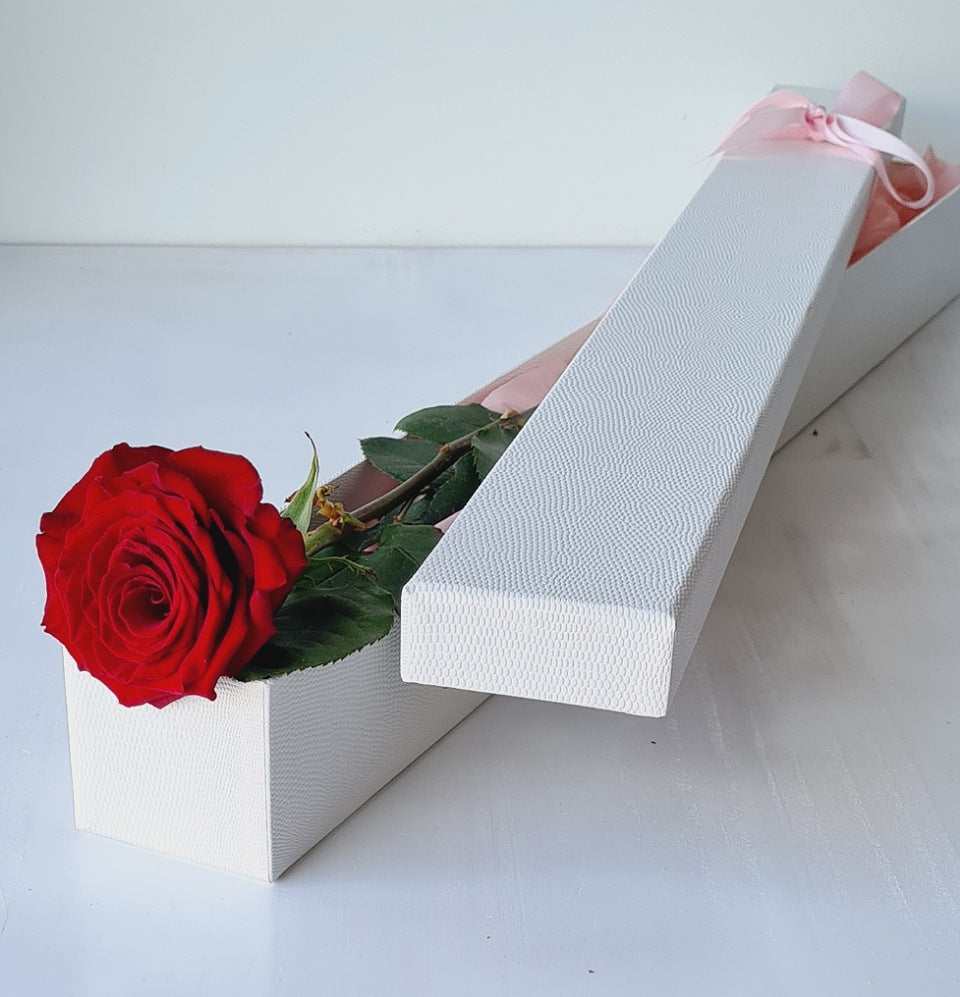 Love U to the Moon - Blossom  By Daisy