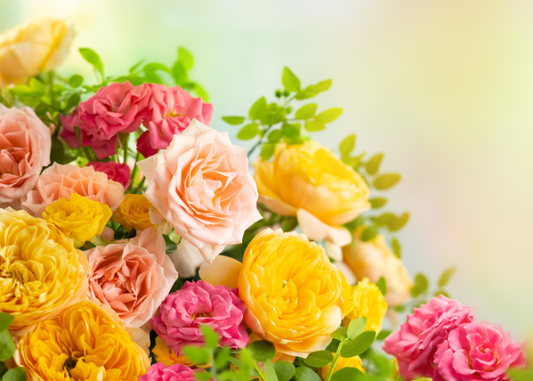 Brunswick Flower Delivery - Blossom By Daisy