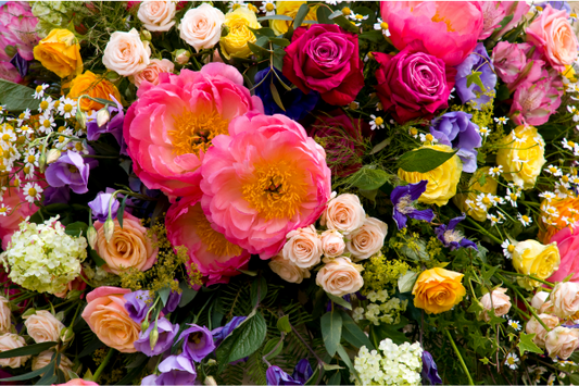 Flower Spotlight: Exploring the Beauty and Significance of Different Flower Types