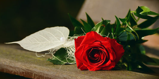 Get The Best Christmas Flowers For Your Loved Ones Online