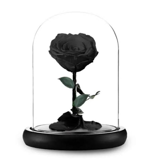 Black Everlasting Rose Dome