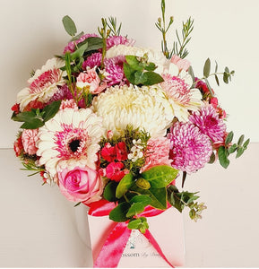 Blossom of the day - Blossom  By Daisy